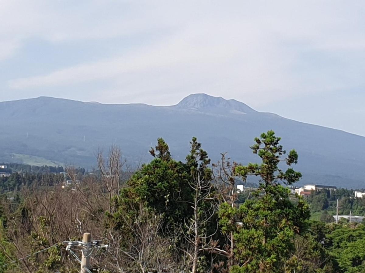 Jeju Soroan Pension مدينة سيوجويبو المظهر الخارجي الصورة